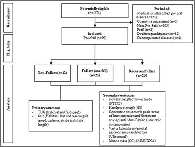 Accuracy of Tools to Differentiate Single From Recurrent Fallers Pre-Frail Older Women